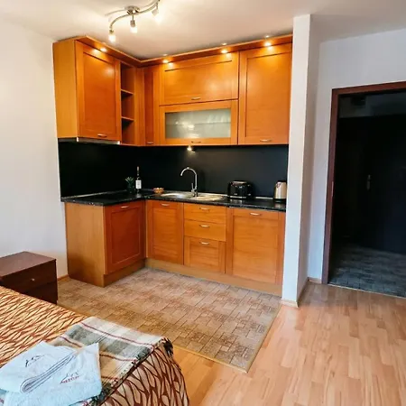 South Facing Bright Mountain View Penthouse - 2 Balconies, 300mbps Wifi, Washer Apartament