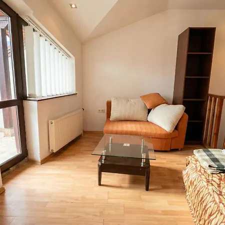 South Facing Bright Mountain View Penthouse - 2 Balconies, 300mbps Wifi, Washer Bansko