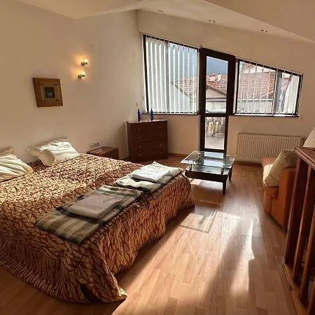 South Facing Bright Mountain View Penthouse - 2 Balconies, 300mbps Wifi, Washer Appartement Bansko