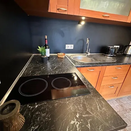 South Facing Bright Mountain View Penthouse - 2 Balconies, 300mbps Wifi, Washer Appartement Bansko