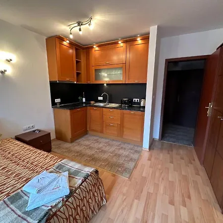 Bright Mountain View Penthouse - 300mbps Wi-fi Bansko