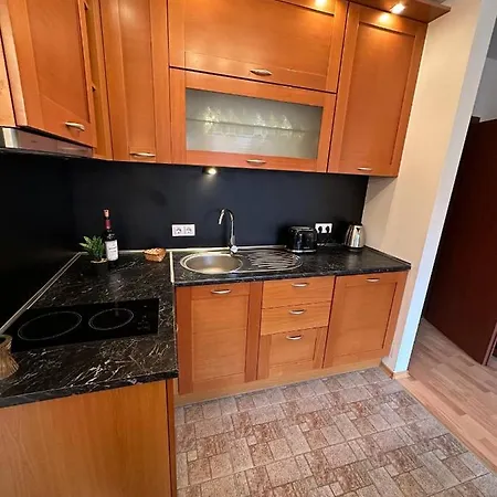 Appartement South Facing Bright Mountain View Penthouse - 2 Balconies, 300mbps Wifi, Washer Bansko