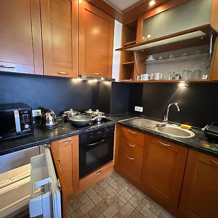 Appartement South Facing Bright Mountain View Penthouse - 2 Balconies, 300mbps Wifi, Washer Bansko