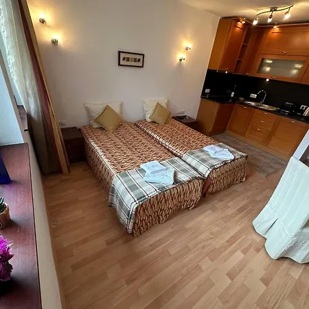 South Facing Bright Mountain View Penthouse - 2 Balconies, 300mbps Wifi, Washer Appartement *