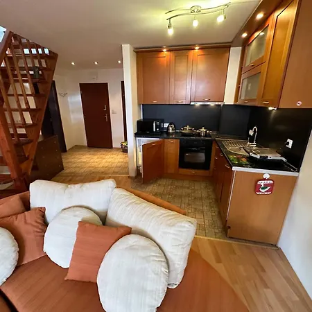 Appartement South Facing Bright Mountain View Penthouse - 2 Balconies, 300mbps Wifi, Washer Bansko