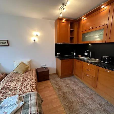 South Facing Bright Mountain View Penthouse - 2 Balconies, 300mbps Wifi, Washer Bansko