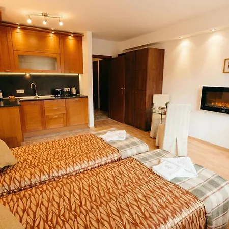 South Facing Bright Mountain View Penthouse - 2 Balconies, 300mbps Wifi, Washer